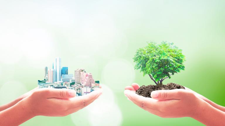 Alianzas internacionales y acciones concretas