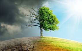 La crisis climática y el modelo socioeconómico imperante