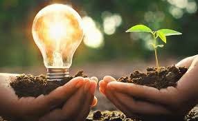 Conflictos socioambientales y derechos humanos