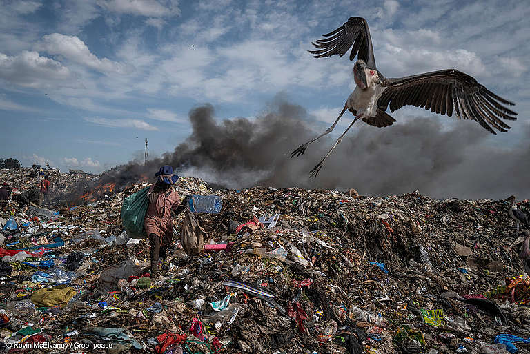 Contaminación y residuos